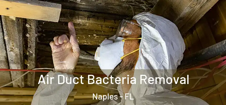 Air Duct Bacteria Removal Naples - FL