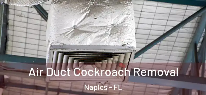 Air Duct Cockroach Removal Naples - FL