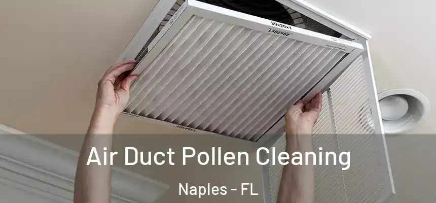 Air Duct Pollen Cleaning Naples - FL
