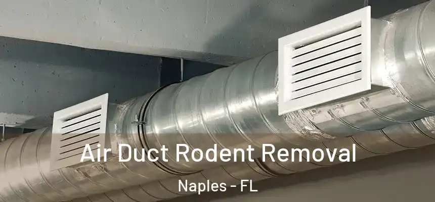 Air Duct Rodent Removal Naples - FL