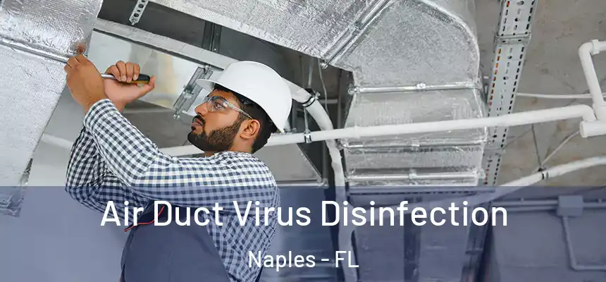 Air Duct Virus Disinfection Naples - FL