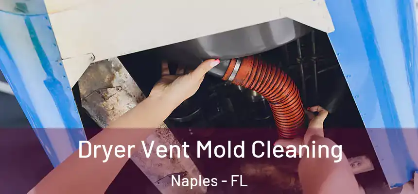 Dryer Vent Mold Cleaning Naples - FL