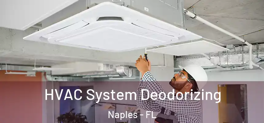 HVAC System Deodorizing Naples - FL