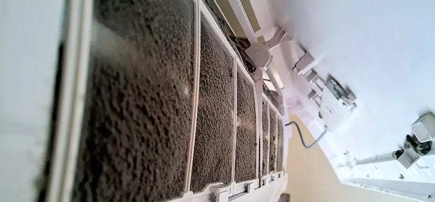 Preventive Air Duct Bacteria Removal in Naples