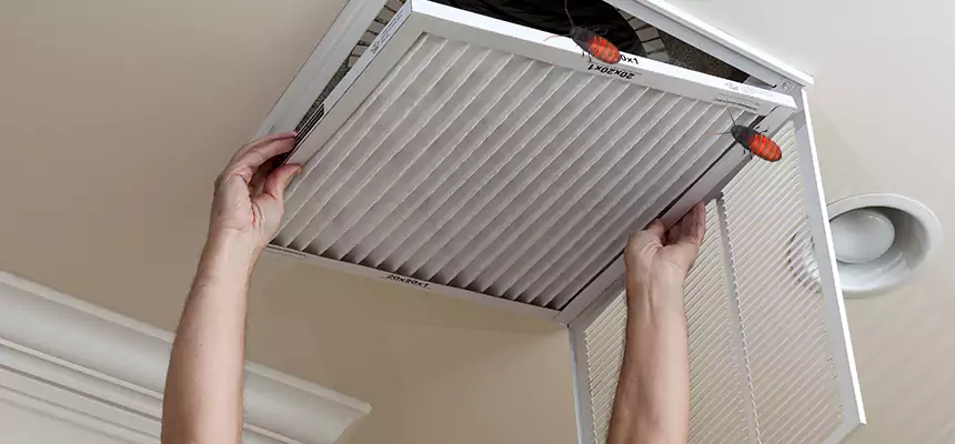Preventive Cockroach-Proofing for Ducts in Naples