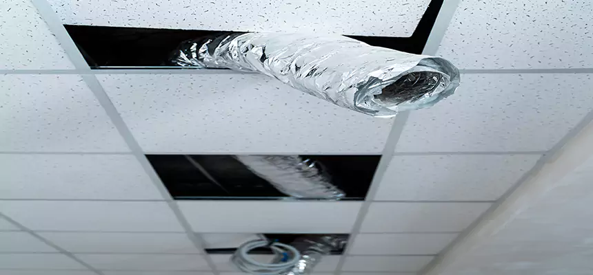 Affordable HVAC Sanitizing After Pest Removal in Naples