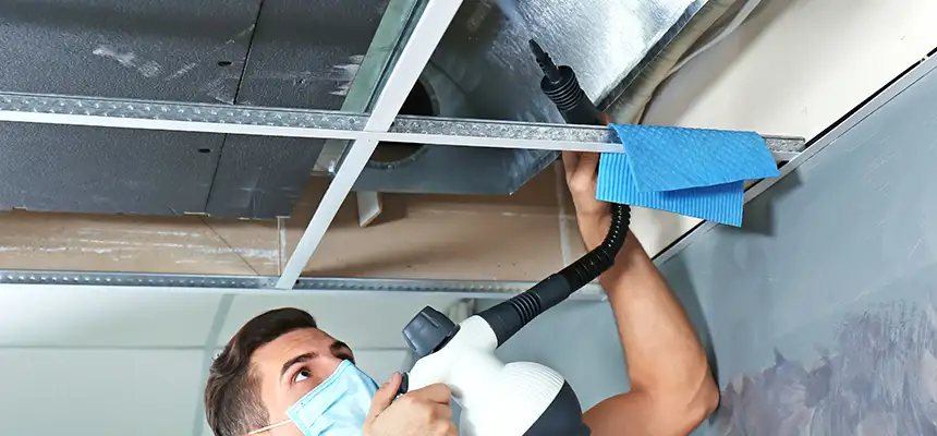Our Air Duct Rodent Removal Services in Naples, FL