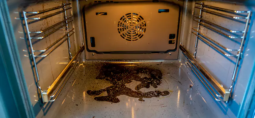 Our Dryer Vent Mold Cleaning Services in Naples, FL