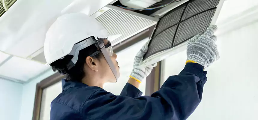 Our Mold & Mildew Removal from Air Ducts Services in Naples, FL