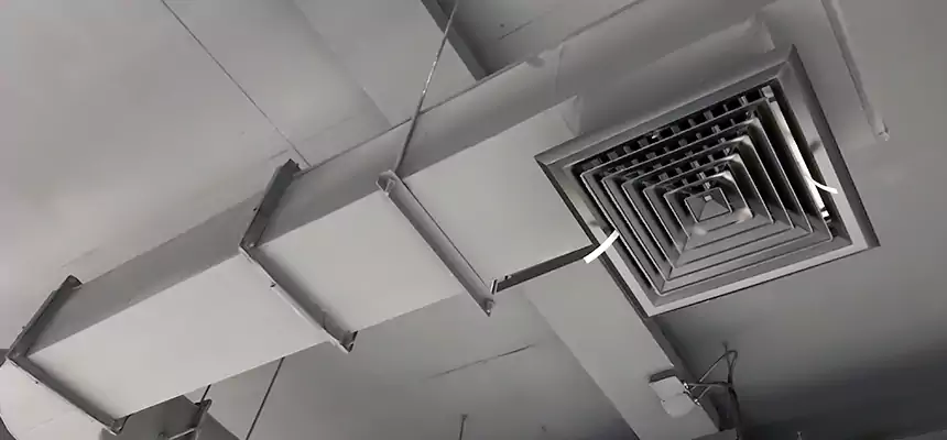 Our Pest Removal From Ducts Services in Naples, FL