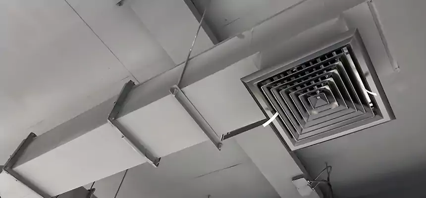 Our Rodent Droppings In Vents Services in Naples, FL