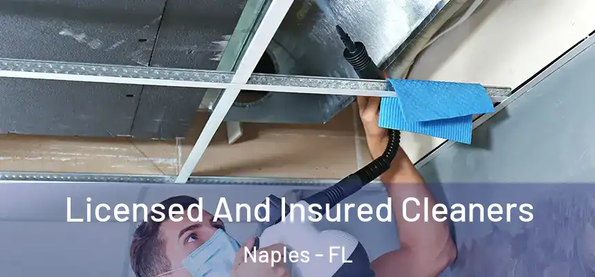 Licensed And Insured Cleaners Naples - FL