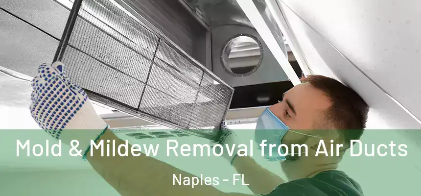 Mold & Mildew Removal from Air Ducts Naples - FL