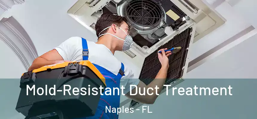 Mold-Resistant Duct Treatment Naples - FL