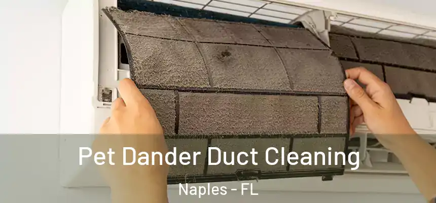 Pet Dander Duct Cleaning Naples - FL