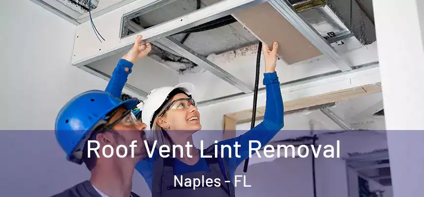 Roof Vent Lint Removal Naples - FL