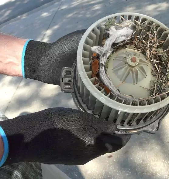 About Air Duct Mice Removal in Naples, FL
