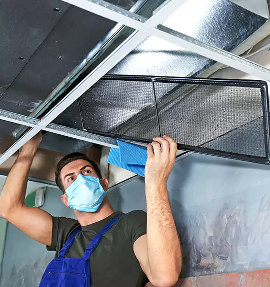 Professional Air Duct Pollen Cleaning in Naples, FL