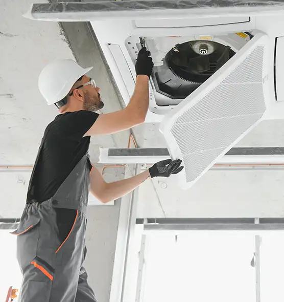 About Air Duct Rodent Removal in Naples, FL