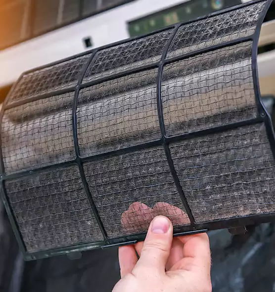 About Pet Dander Duct Cleaning in Naples, FL
